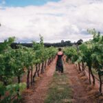 woman at a vineyard
