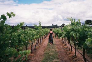 woman at a vineyard